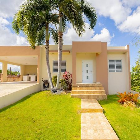 فيلا Arenales Vacational House إيزابيلا المظهر الخارجي الصورة